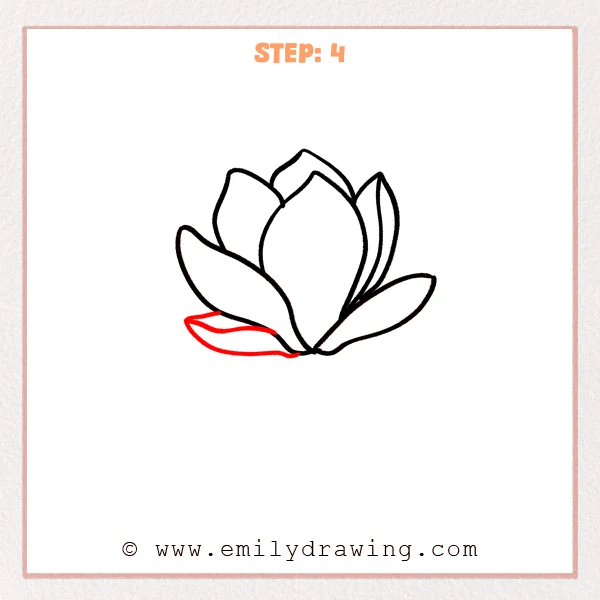 how to draw a magnolia flower - Step 4